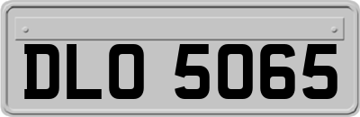 DLO5065