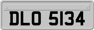 DLO5134