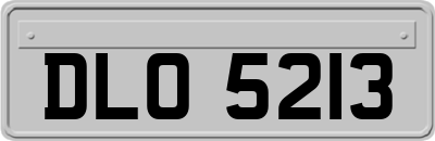 DLO5213