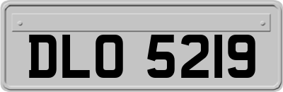 DLO5219