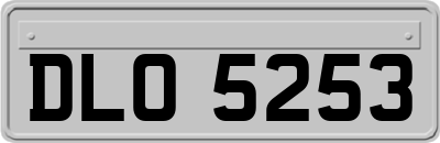 DLO5253