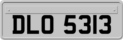 DLO5313