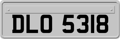 DLO5318