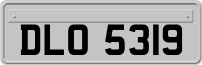 DLO5319