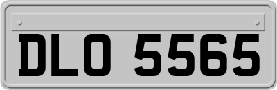 DLO5565