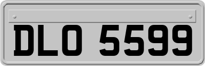 DLO5599