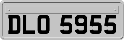 DLO5955