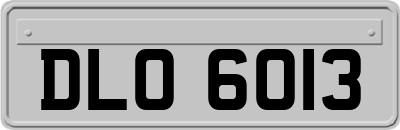 DLO6013
