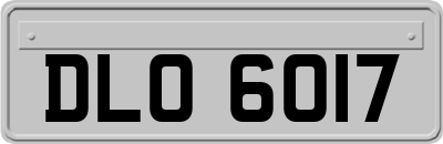 DLO6017