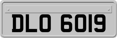 DLO6019