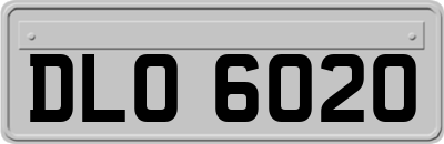 DLO6020