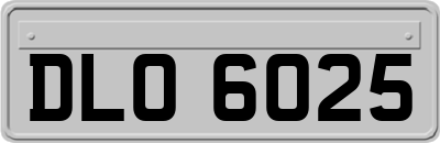 DLO6025
