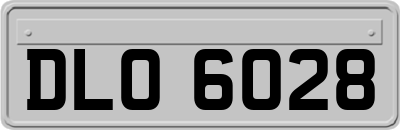 DLO6028