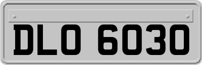 DLO6030