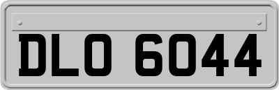 DLO6044