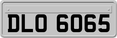 DLO6065