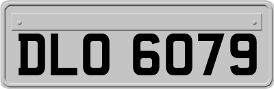 DLO6079