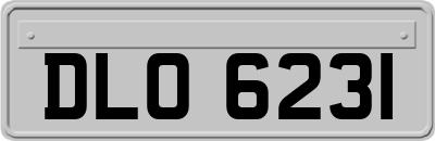 DLO6231