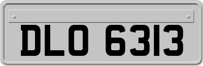 DLO6313