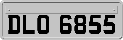 DLO6855