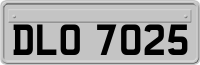 DLO7025