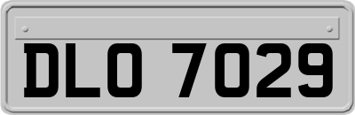 DLO7029