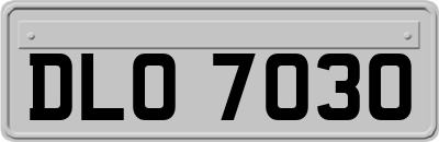 DLO7030