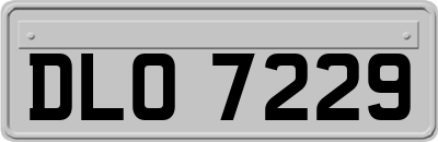 DLO7229