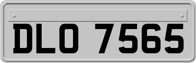 DLO7565