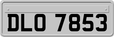 DLO7853