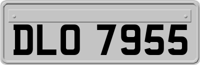 DLO7955