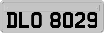 DLO8029