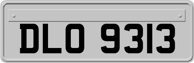 DLO9313
