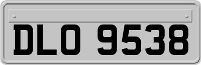 DLO9538