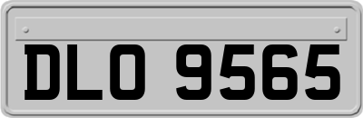 DLO9565