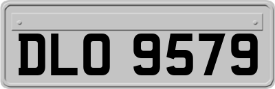 DLO9579