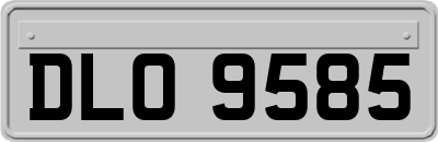 DLO9585