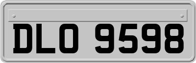 DLO9598
