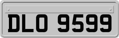DLO9599