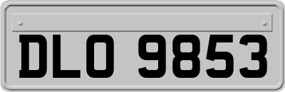 DLO9853