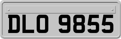 DLO9855