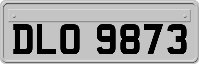 DLO9873