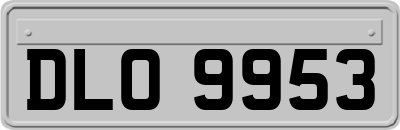 DLO9953