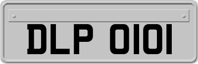 DLP0101