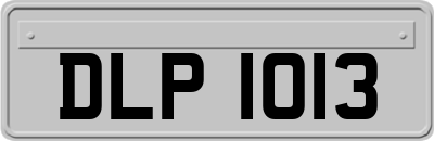 DLP1013