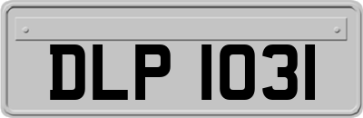 DLP1031