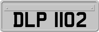 DLP1102