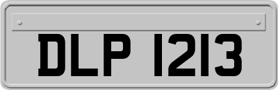 DLP1213