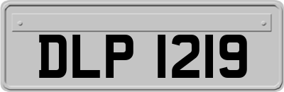 DLP1219