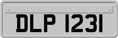 DLP1231